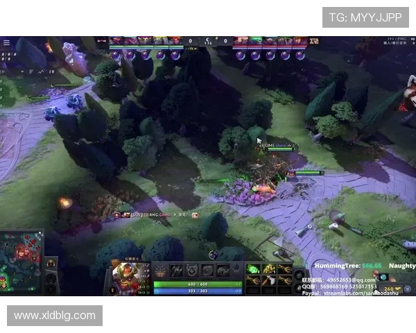 DOTA2耐力排名新突破RNG战队表现令人瞩目再创佳绩