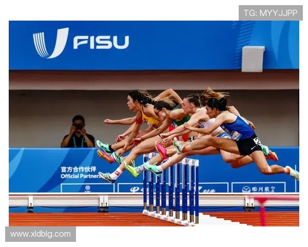 成都排球队奋勇拼搏总决赛背后的艰辛与荣耀之路