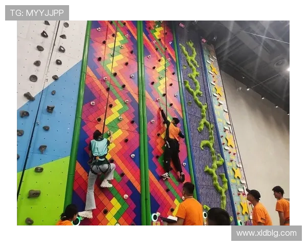 极限运动的魅力与挑战：深入探讨上海极限运动队的团队协作精神与实践